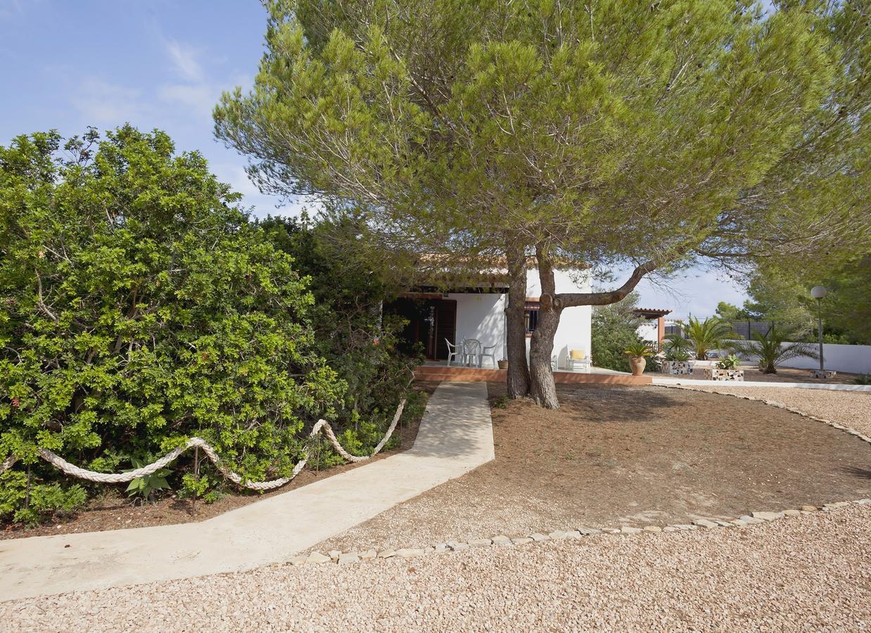 Viviendas Los Olivos - Formentera Break Bãi biển Bãi biển Playa Migjorn Ngoại thất bức ảnh